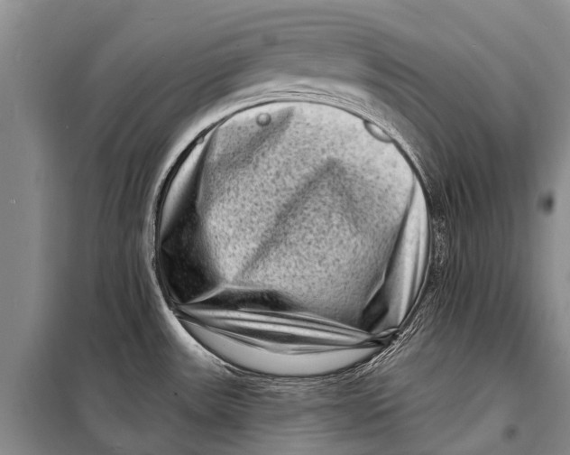 X0000098201531200805151216