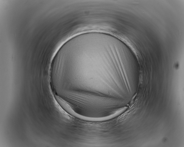 X0000098201532200805151216