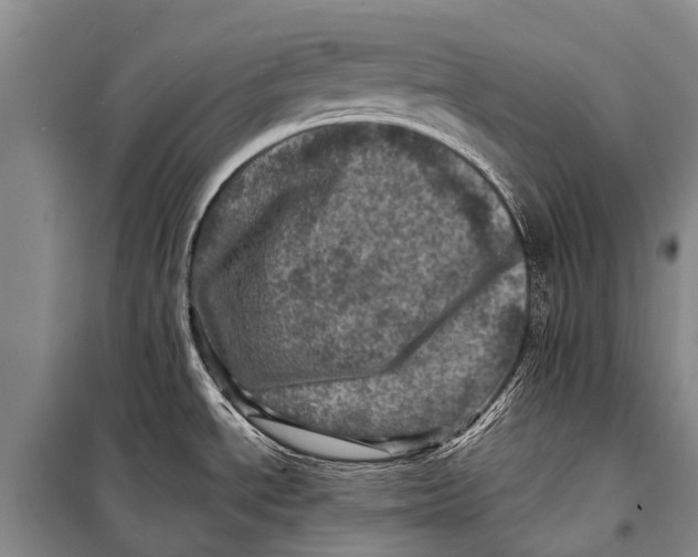 X0000098201534200805151216