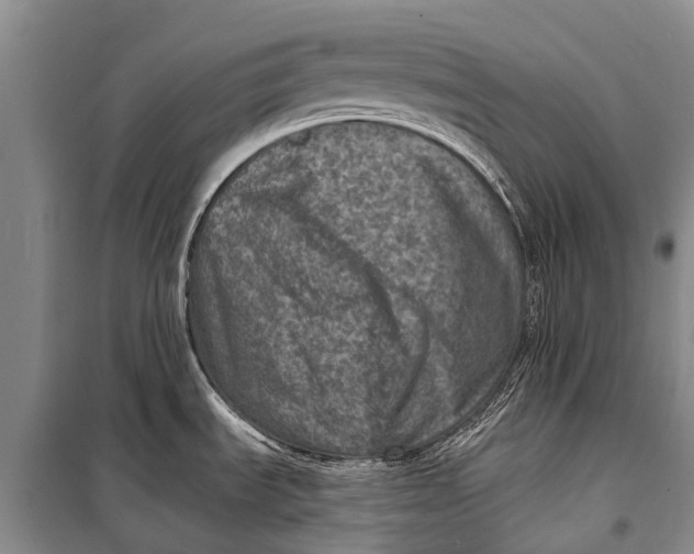 X0000098201535200805151216