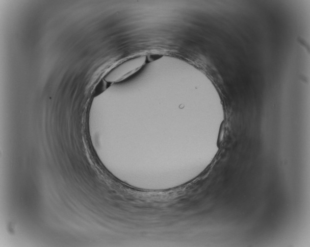 X0000098200001200805221553