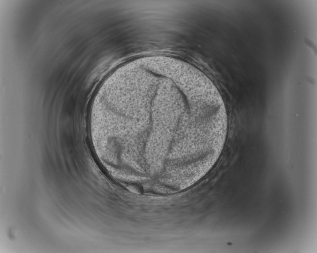 X0000098200002200805221553