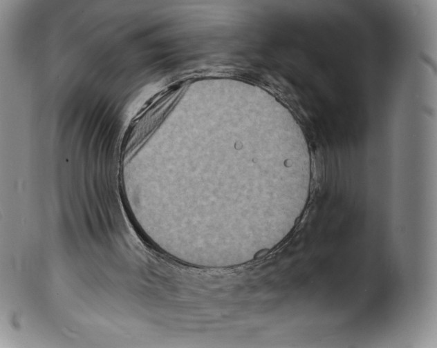 X0000098200003200805221553