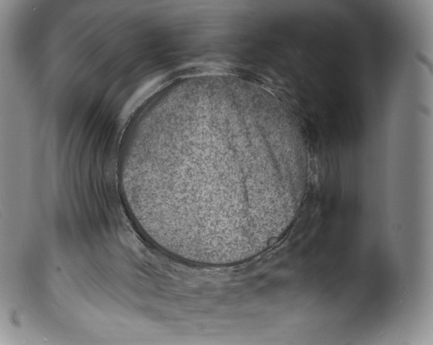 X0000098200004200805221553
