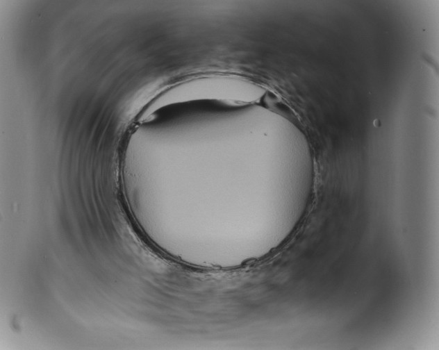 X0000098200005200805221553