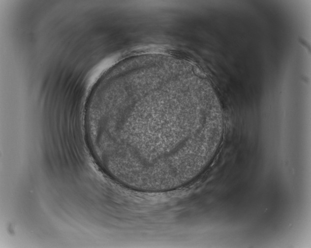 X0000098200006200805221553