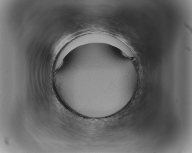X0000098200007200805221553