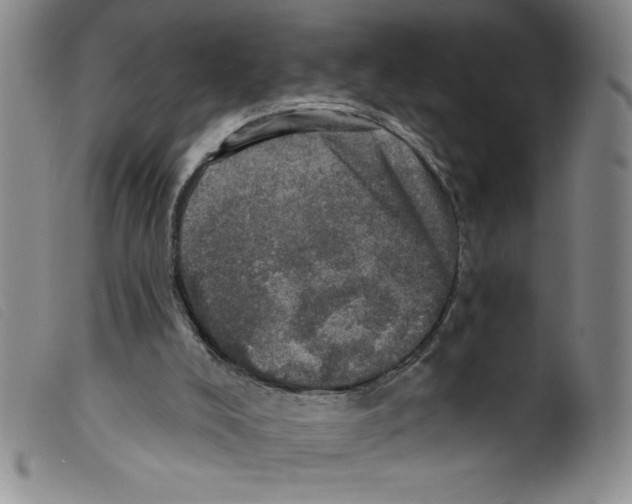 X0000098200008200805221553