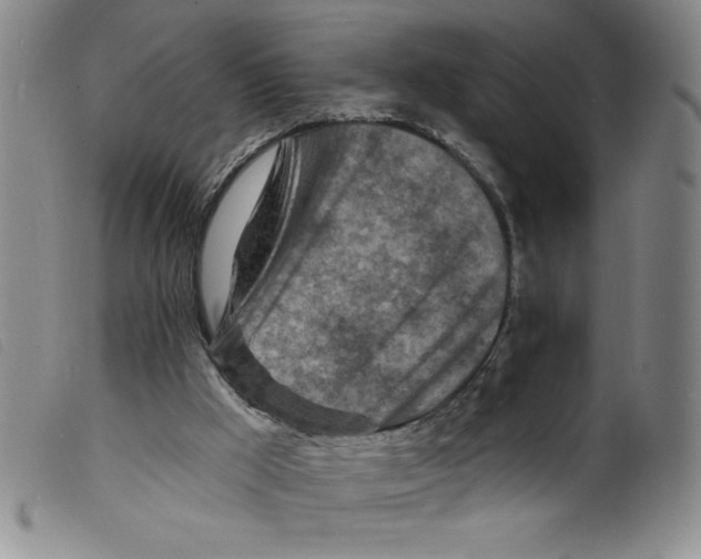 X0000098200009200805221553