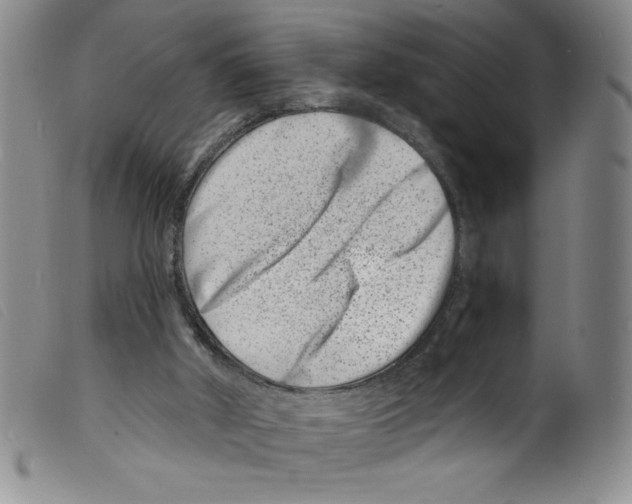 X0000098200010200805221553