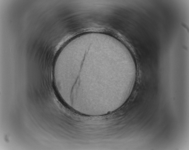 X0000098200011200805221553