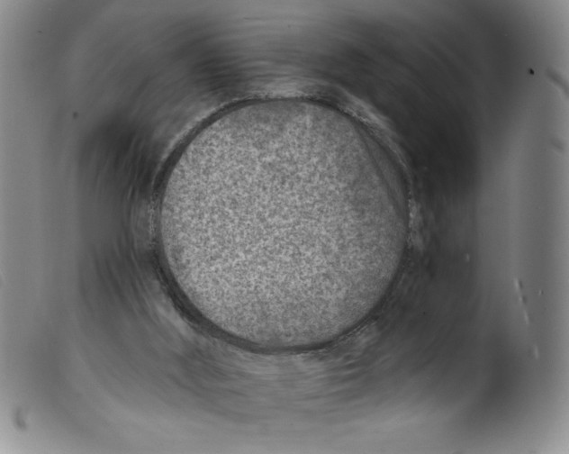 X0000098200012200805221553