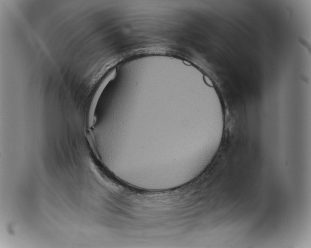 X0000098200013200805221552