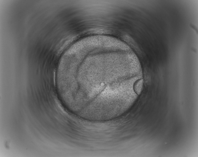 X0000098200014200805221552
