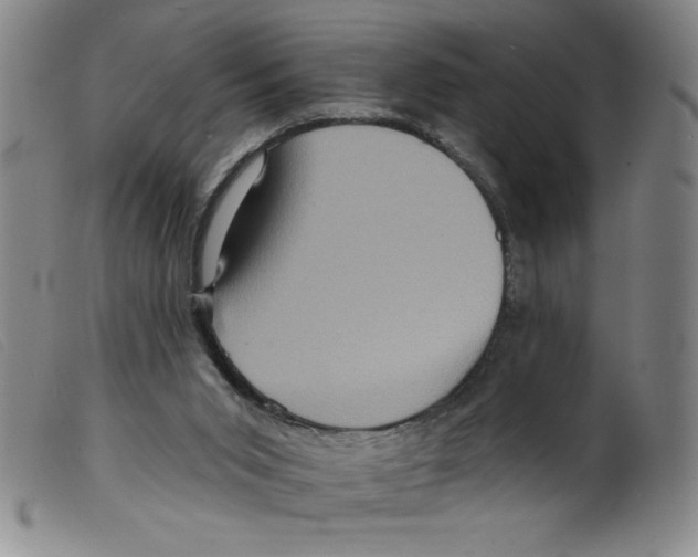 X0000098200015200805221552