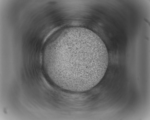 X0000098200016200805221552