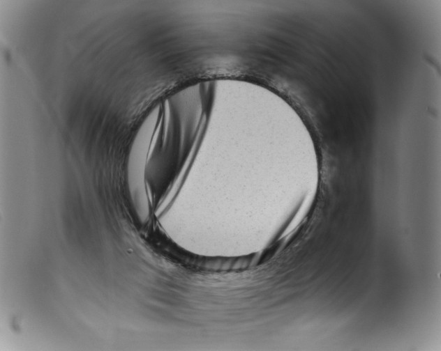 X0000098200017200805221552
