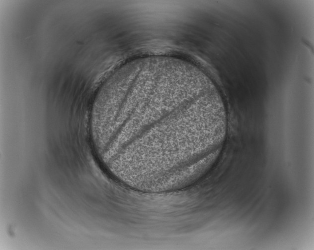 X0000098200018200805221552
