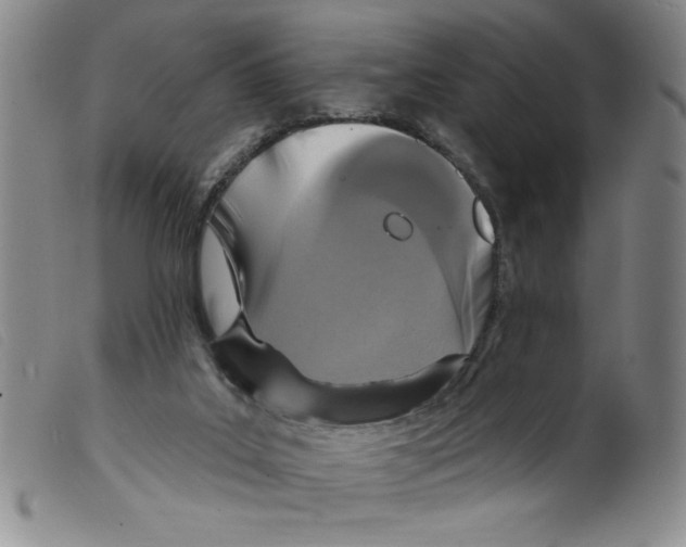 X0000098200019200805221552