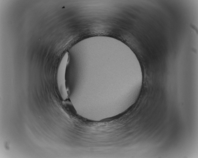 X0000098200021200805221552