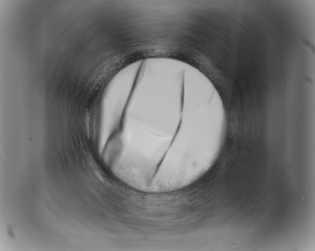 X0000098200022200805221552
