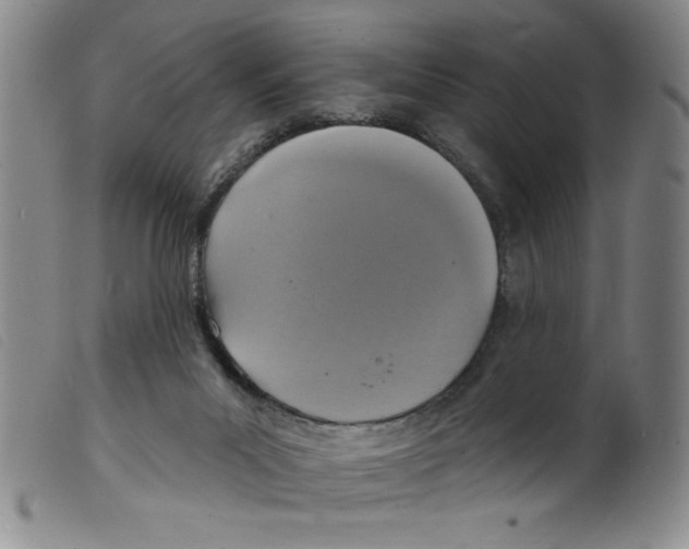 X0000098200023200805221552