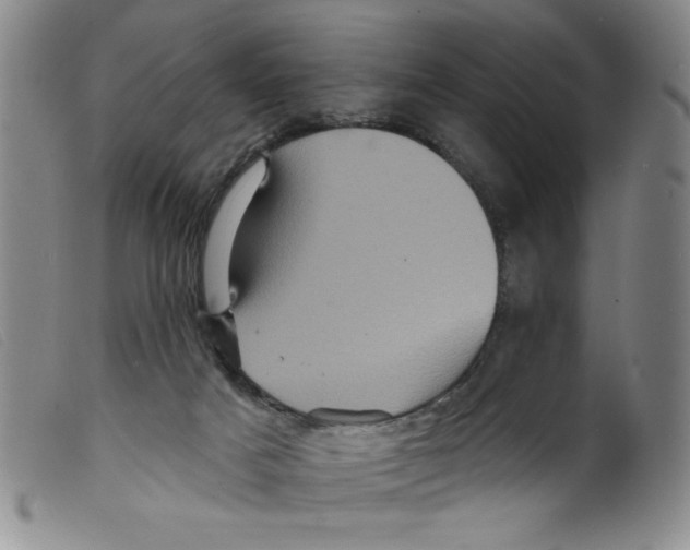 X0000098200025200805221552
