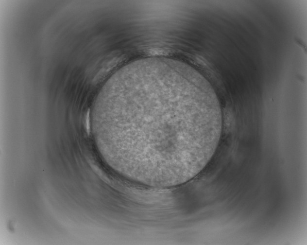 X0000098200028200805221552