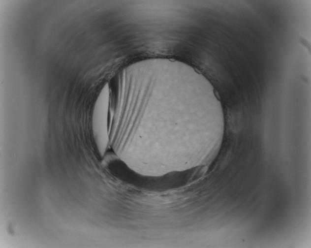 X0000098200029200805221552