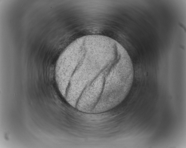 X0000098200030200805221552