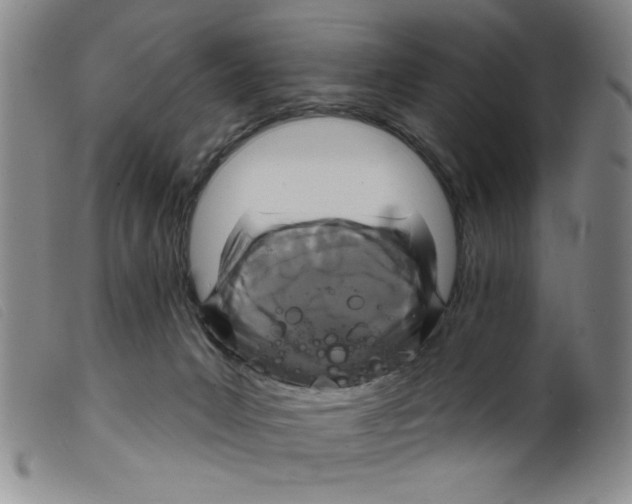 X0000098200031200805221552