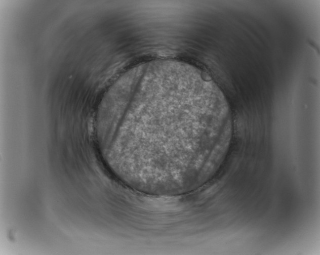 X0000098200032200805221552