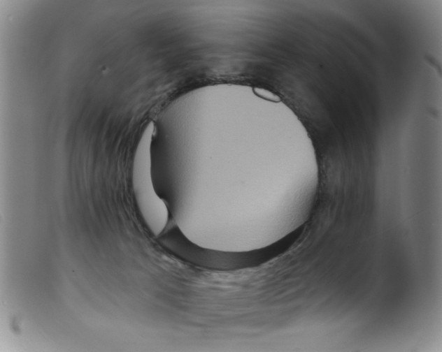 X0000098200033200805221552