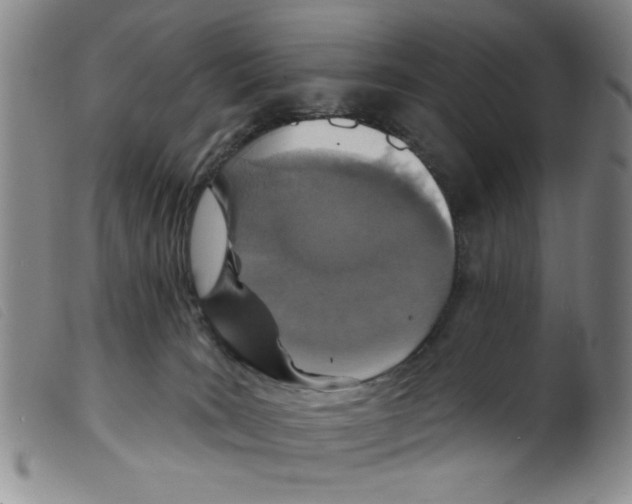 X0000098200035200805221552