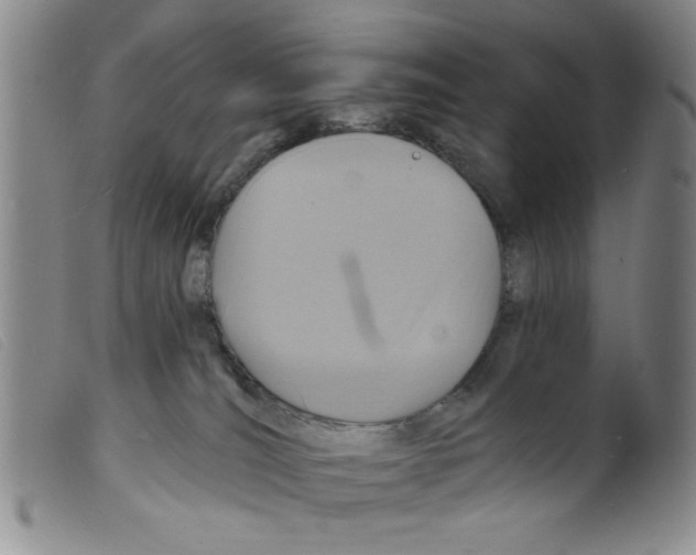 X0000098200036200805221552
