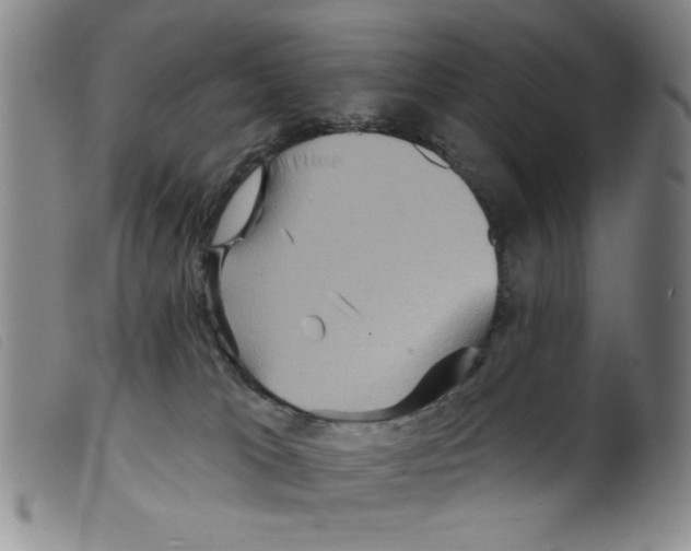 X0000098200037200805221552