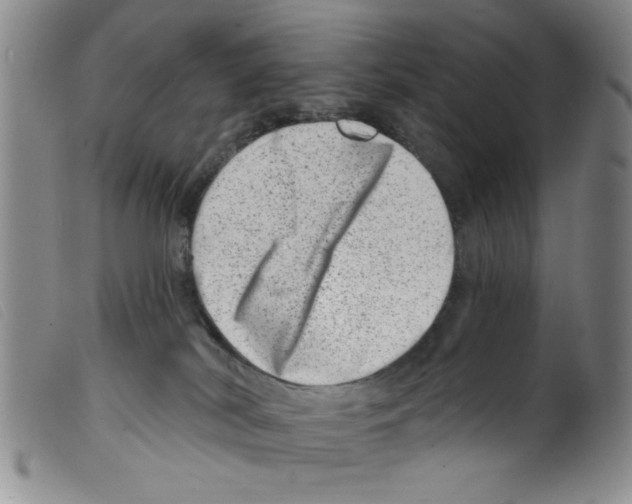 X0000098200038200805221552