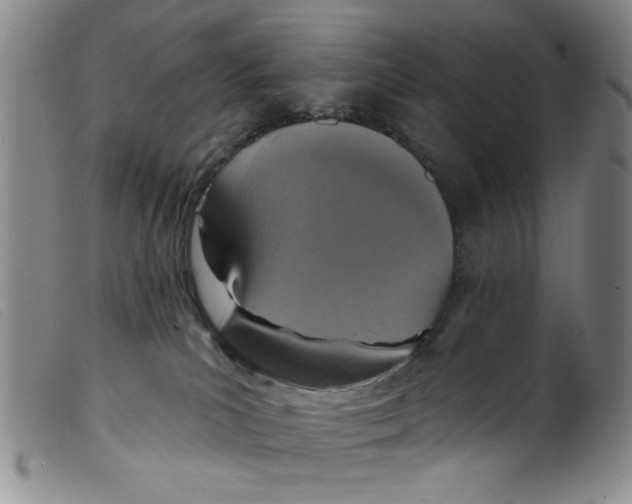 X0000098200039200805221552