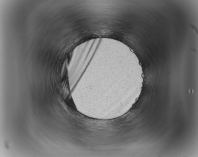 X0000098200040200805221552