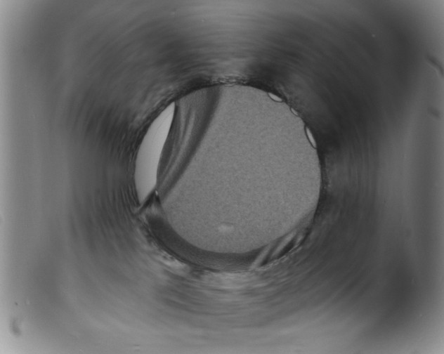 X0000098200041200805221552