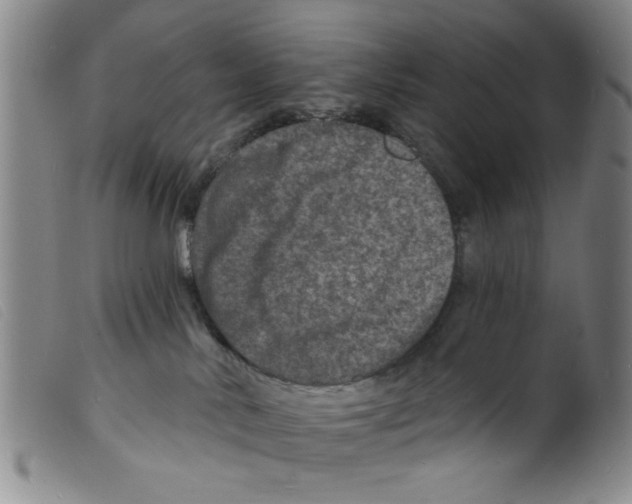 X0000098200042200805221552