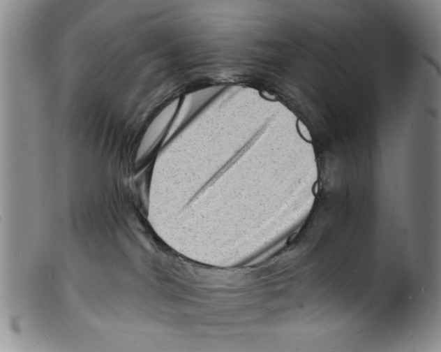 X0000098200044200805221552