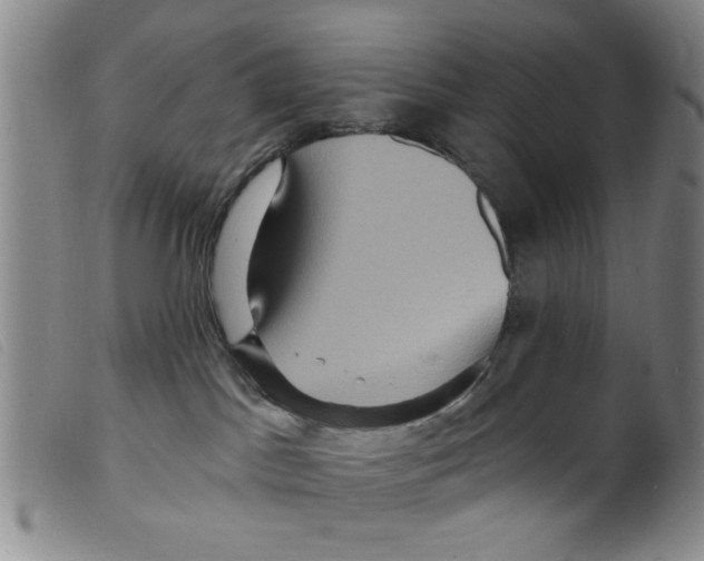 X0000098200045200805221552