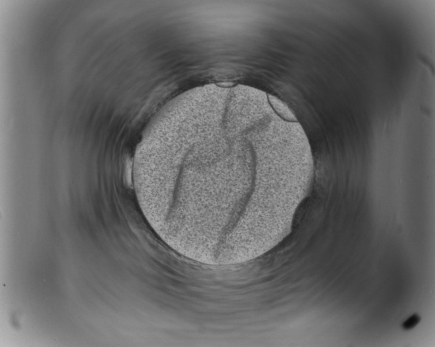 X0000098200046200805221552