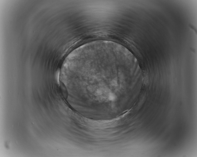 X0000098200047200805221552