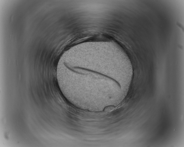 X0000098200048200805221552