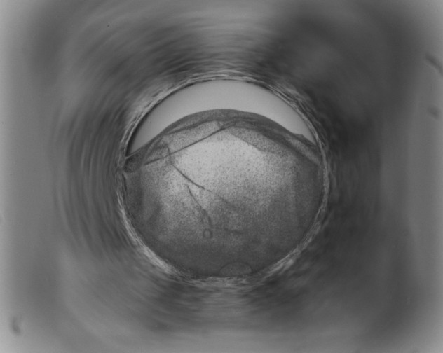 X0000098200049200805221551