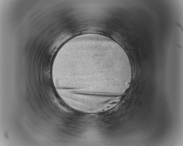 X0000098200050200805221551