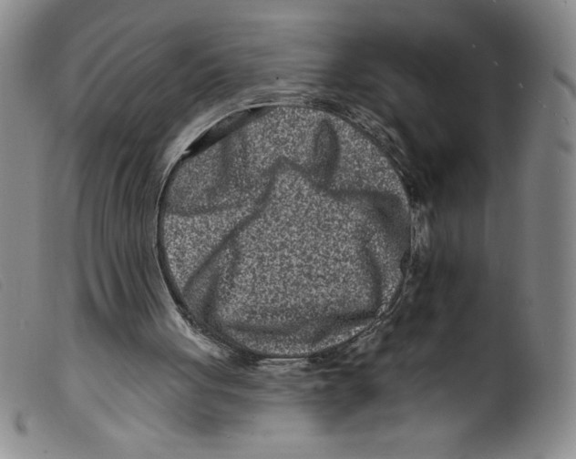 X0000098200051200805221551