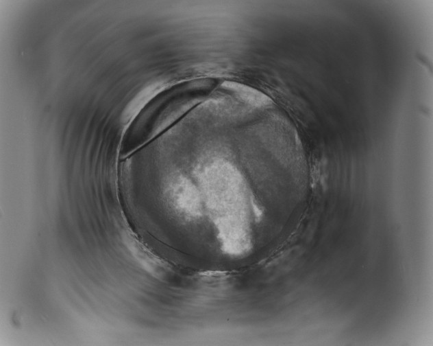 X0000098200052200805221551
